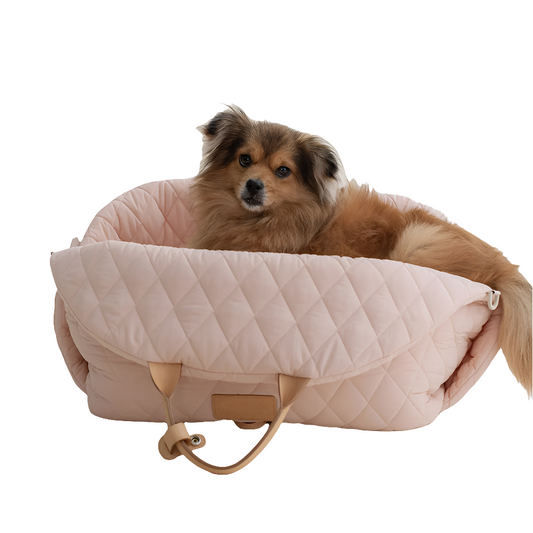 Pet Handbag Outdoor Cat Handbag